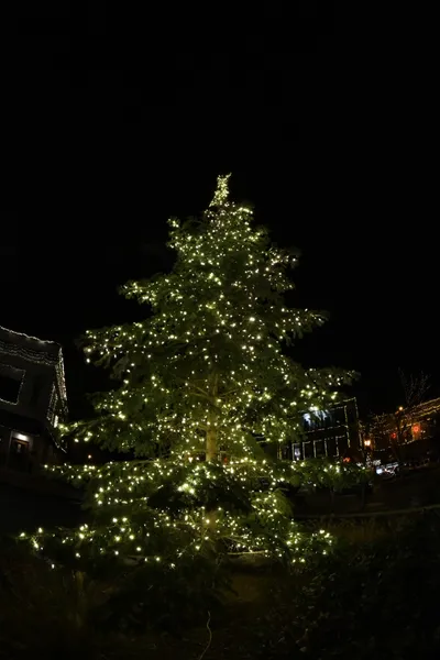 DSC_0025 (Large).JPG